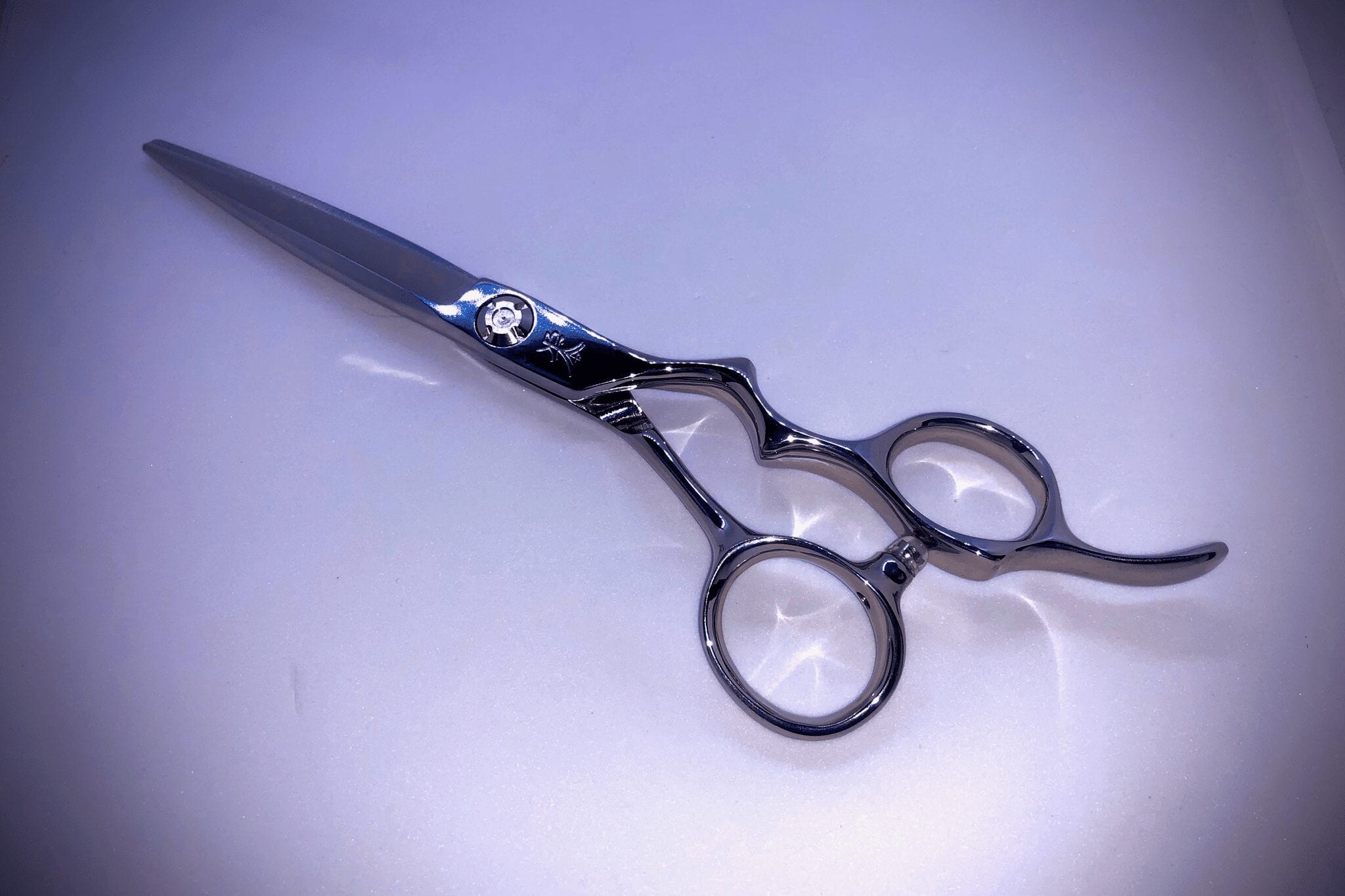 Japanese Salon Shears